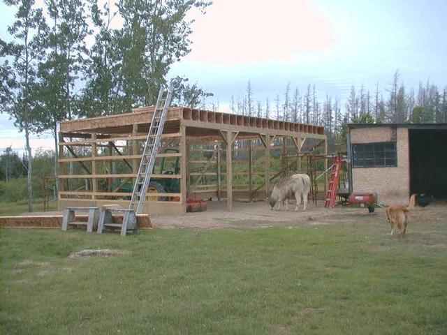 barn2.jpg