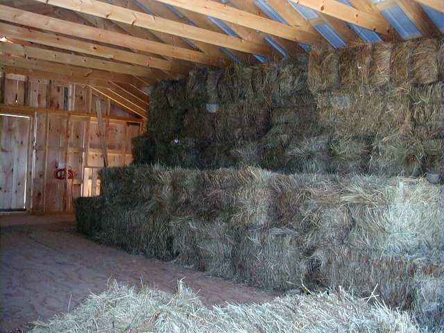 barn8.jpg